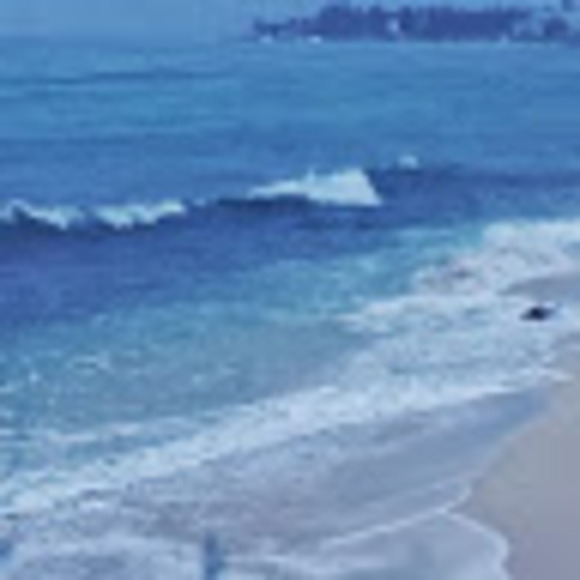 Meet your Posher, Cicely - Picture 1 of 1